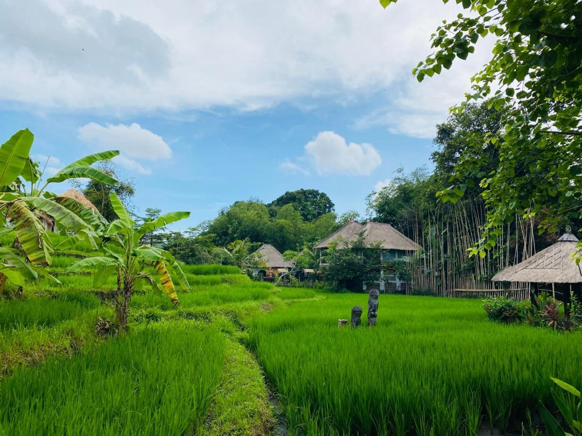 Kts Balinese Villas Canggu Exteriér fotografie