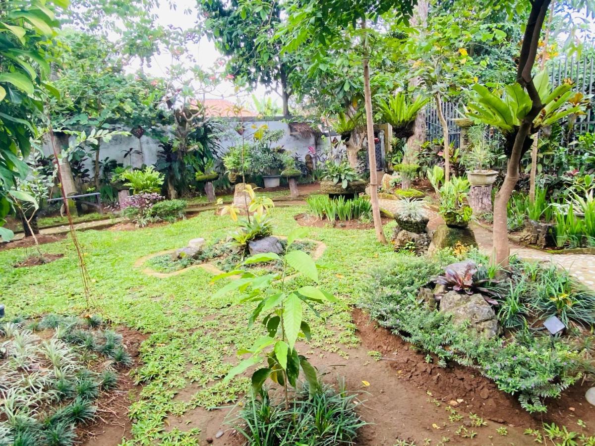Kts Balinese Villas Canggu Exteriér fotografie